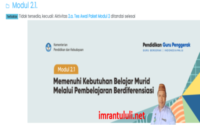 Pengertian Pembelajaran Berdiferensiasi